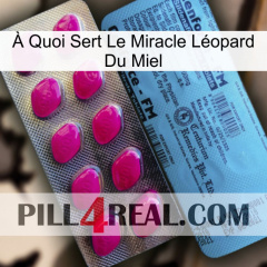 À Quoi Sert Le Miracle Léopard Du Miel 35